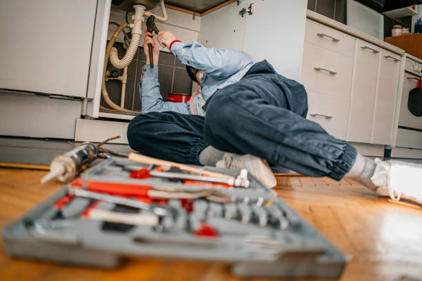  Dodge Center, MN Plumbing Pros