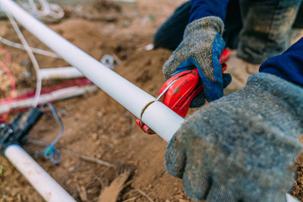 Best Drain Cleaning Services  in Dodge Center, MN